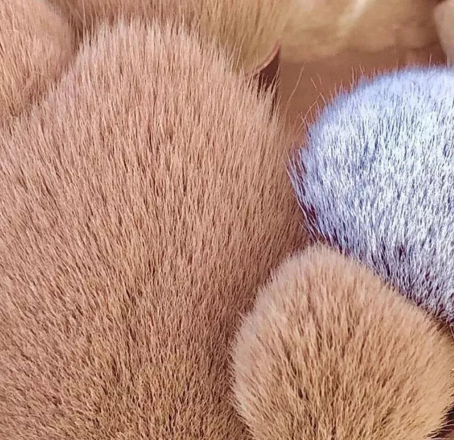 13 Pieces Makeup Brush Sets With Bag, Soft Fluffy Synthetic Professional Makeup Brushe Sets for Cosmetics Foundation Blush Powder Eyeshadow Blending Makeup Brush Beauty Tool - SANDY'S MAKEUP AND ARTISTRY