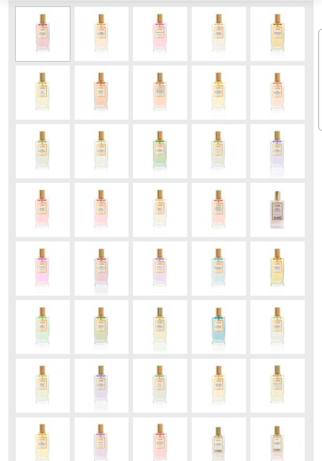 Saphir Eau de Parfum Collections- Eau de Parfum Saphir 50ml - SANDY'S MAKEUP AND ARTISTRY